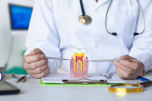 Best Chipped Tooth Repair Near Me  in Kirtland, OH